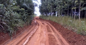 Côte d’Ivoire : 500 millions F CFA pour des travaux de voirie à Duékoué