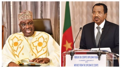 Cameroun : Paul Biya donn&eacute; vainqueur (53,66 %), Issa Tchiroma Bakary conteste avec 60 % des suffrages exprim&eacute;s, les Camerounais en attente des r&eacute;sultats d&eacute;finitifs