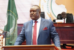 Le Parlement panafricain pour une “force climatique” africaine