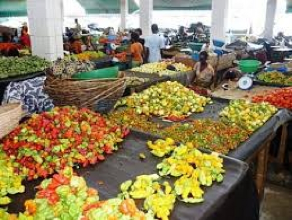 Côte d&#039;Ivoire : World Trade and Training business Office envisage des achats bord champ des produits agricoles