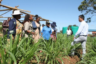 Xiplomatie : une lettre de Xi Jinping &agrave; d'anciens combattants zimbabw&eacute;ens refl&egrave;te une amiti&eacute; sino-africaine durable