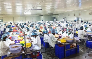 Côte d’Ivoire/ Emploi des jeunes : 86,72 milliards de fcfa de financement visant 120 000 jeunes
