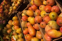 C&ocirc;te d&rsquo;Ivoire : Ouverture du premier symposium sur la mangue &agrave; Korhogo