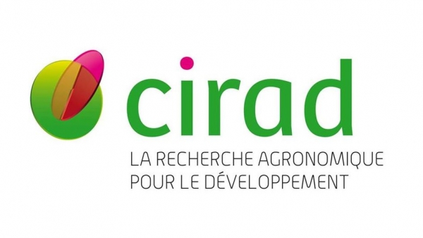 Ghana : Visite du CIRAD pour une collaboration scientifique avec l’Université du Ghana