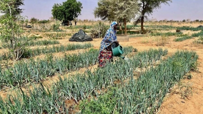 L’Afrique pâtit du changement climatique de manière disproportionnée