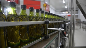 La valeur des exportations de l&#039;huile d&#039;olive turque dépasse les 200 millions de dollars