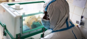 Un scientifique congolais et un scientifique belge récompensés par l’Organisation mondiale de la Santé (OMS)