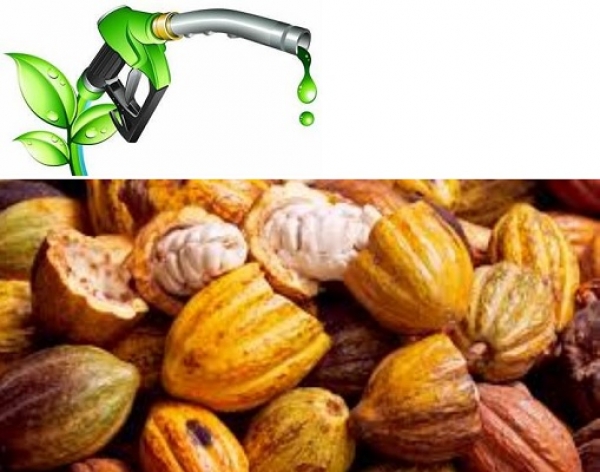 La Côte d’Ivoire va transformer les résidus cacao en biocarburant