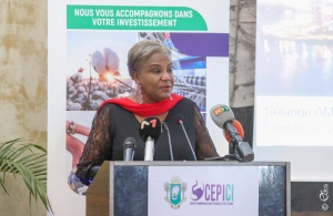Côte d&#039;Ivoire/ Bilan de l’exercice 2022 du CEPICI : 20 183 Entreprises Créés