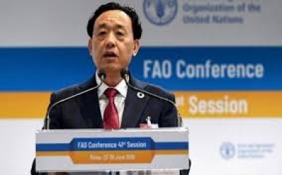 Nutrition: Les pays africains au r&eacute;gime alimentaire japonais