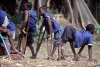 C&ocirc;te d&rsquo;Ivoire-Eradication d&eacute;finitive de la poliomy&eacute;lite en Afrique : Des experts y r&eacute;fl&eacute;chissent depuis Abidjan