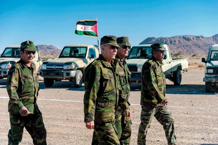 L'affaire "Infravest" : l'arnaque pyramidale de masse qui dépouille les camps de Tindouf