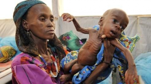 Sahel : 4,8 millions de personnes menacées d'insécurité alimentaire (UN News)