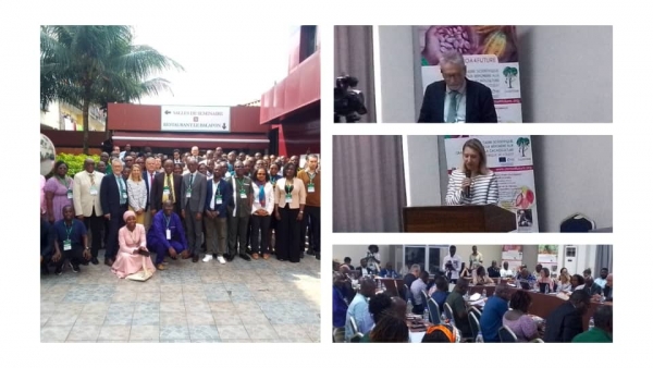 Côte d’Ivoire-Cacao durable : le CIRAD, l’UE et l’AFD présentent les résultats du projet "Cocoa4Future" à Abidjan