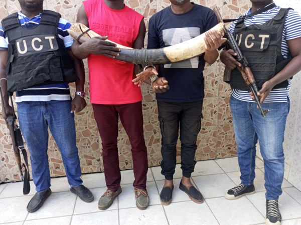 Côte d’Ivoire : face à la difficile lutte contre le trafic des espèces sauvages protégées, un spécialiste souhaite de grosses peines de prison