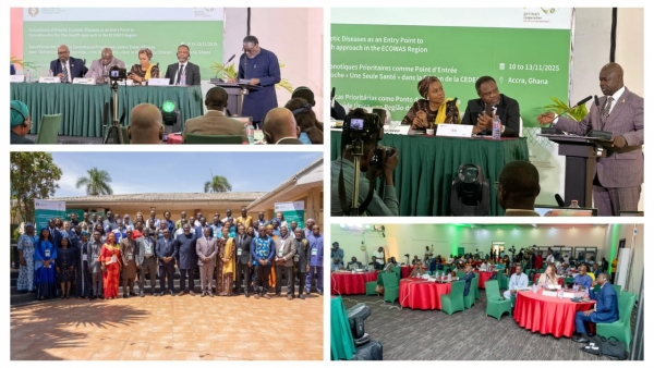 CEDEAO : l’approche One Health se renforce face à la recrudescence des maladies zoonoses en Afrique de l’Ouest