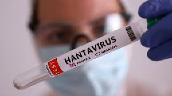 Hantavirus : ce qu'il faut savoir sur cette maladie mortelle comme le Covid19