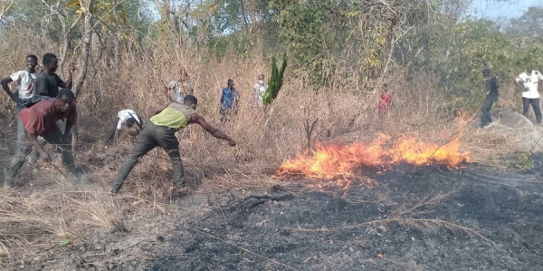 Côte d'Ivoire : les feux de brousse détruisent 5 000 hectares de cultures, 94 habitations, huit villages et causent 16 décès, selon le colonel Banga Anvoh