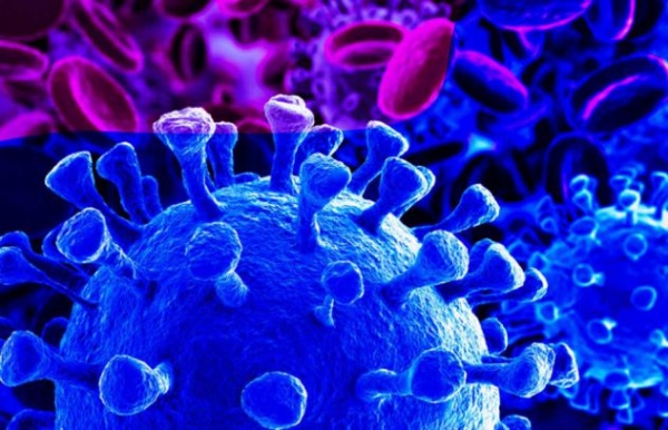 Coronavirus : l'agence 35°Nord pour un accès à l’information fiable